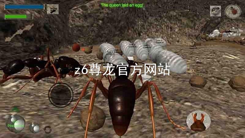 z6尊龙官方网站