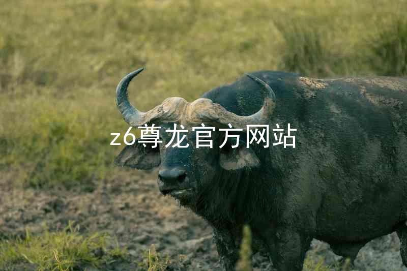 z6尊龙官方网站